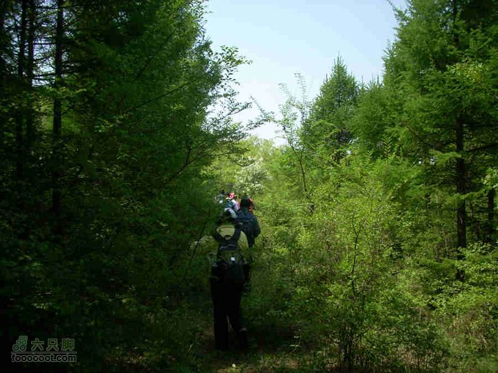 2010.05.22转山DSCN7290