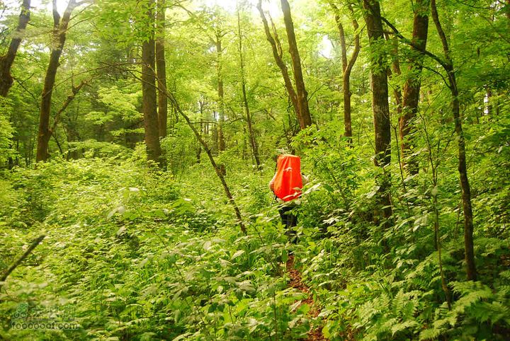 2010端午长白山锦江峡谷穿越端午锦江峡谷 (499)
