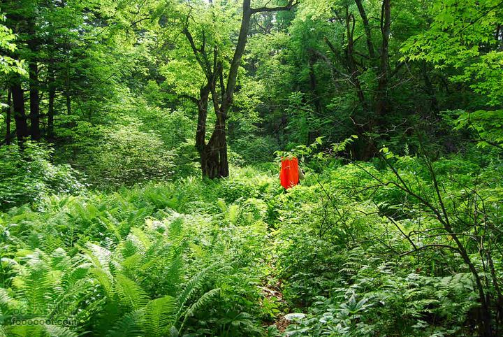 2010端午长白山锦江峡谷穿越端午锦江峡谷 (502)