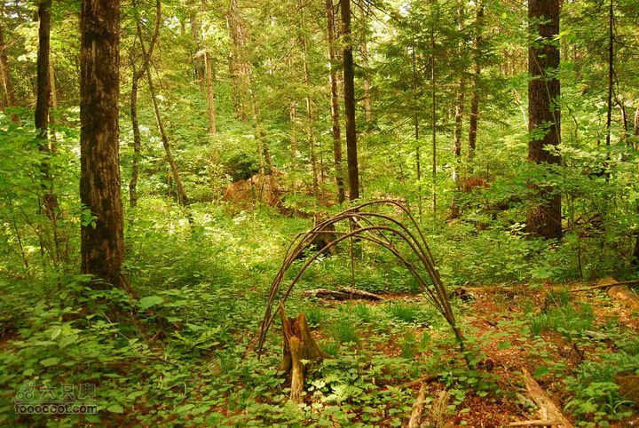 2010端午长白山锦江峡谷穿越端午锦江峡谷 (505)