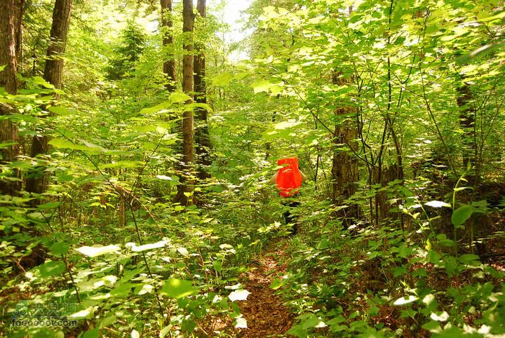 2010端午长白山锦江峡谷穿越端午锦江峡谷 (507)