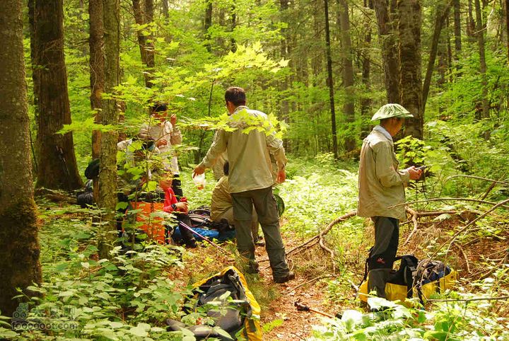 2010端午长白山锦江峡谷穿越端午锦江峡谷 (510)