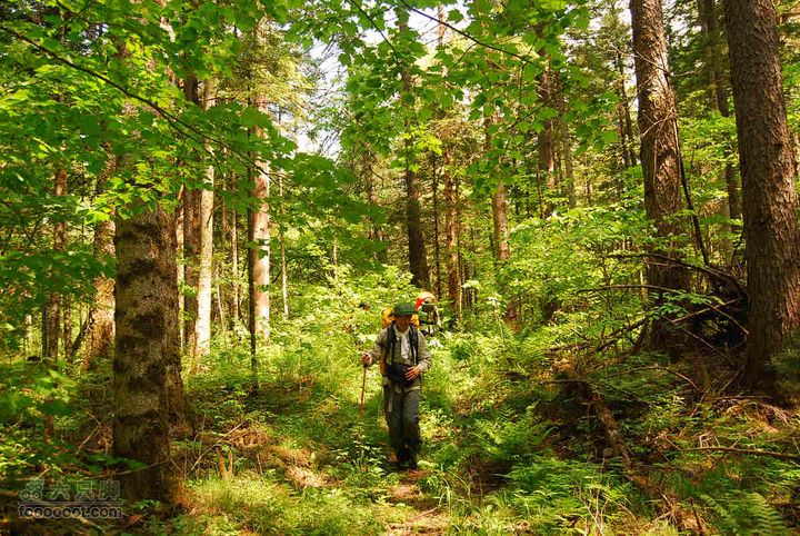 2010端午长白山锦江峡谷穿越端午锦江峡谷 (517)