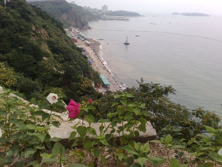 大连滨海西路-森林动物园观光20100821184