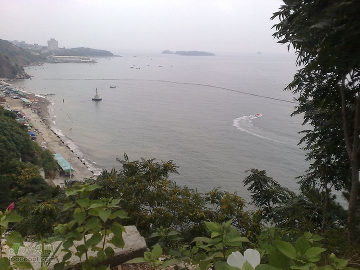 大连滨海西路-森林动物园观光20100821185
