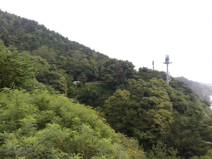 大连滨海西路-森林动物园观光20100821186