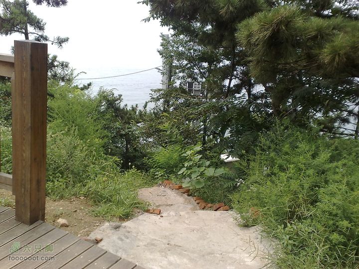 大连滨海西路-森林动物园观光20100821189