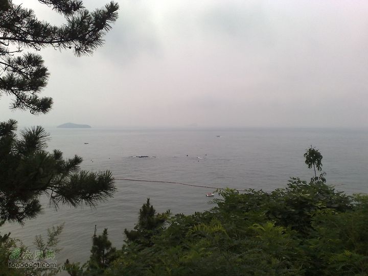 大连滨海西路-森林动物园观光20100821192