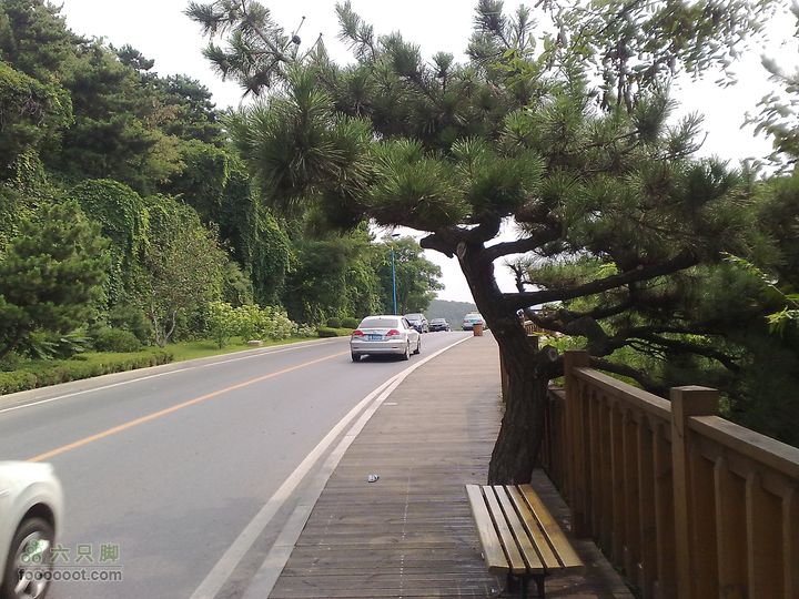 大连滨海西路-森林动物园观光20100821193