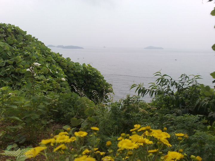 大连滨海西路-森林动物园观光20100821195