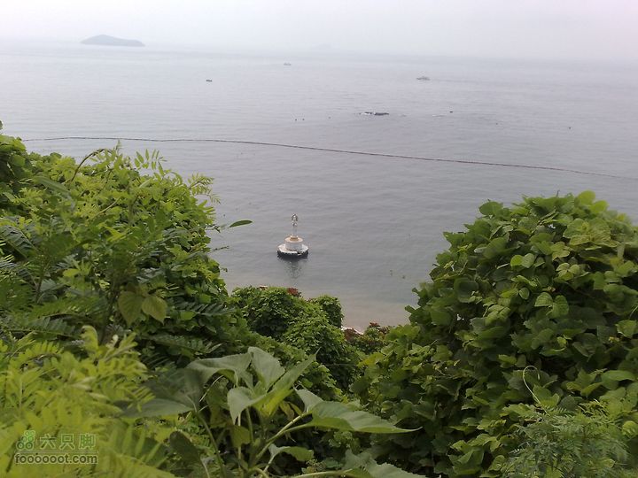 大连滨海西路-森林动物园观光20100821197