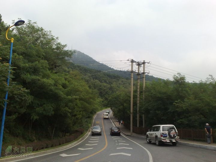 大连滨海西路-森林动物园观光20100821198