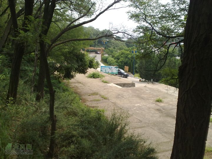 大连滨海西路-森林动物园观光20100821199