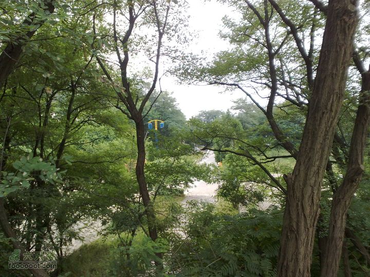 大连滨海西路-森林动物园观光20100821201