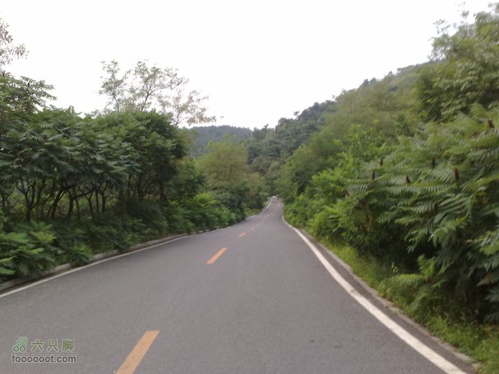 大连滨海西路-森林动物园观光20100821210