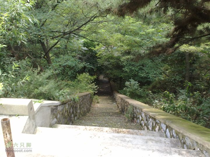 大连滨海西路-森林动物园观光20100821211