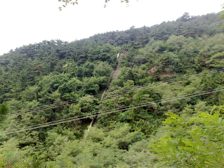大连滨海西路-森林动物园观光20100821213