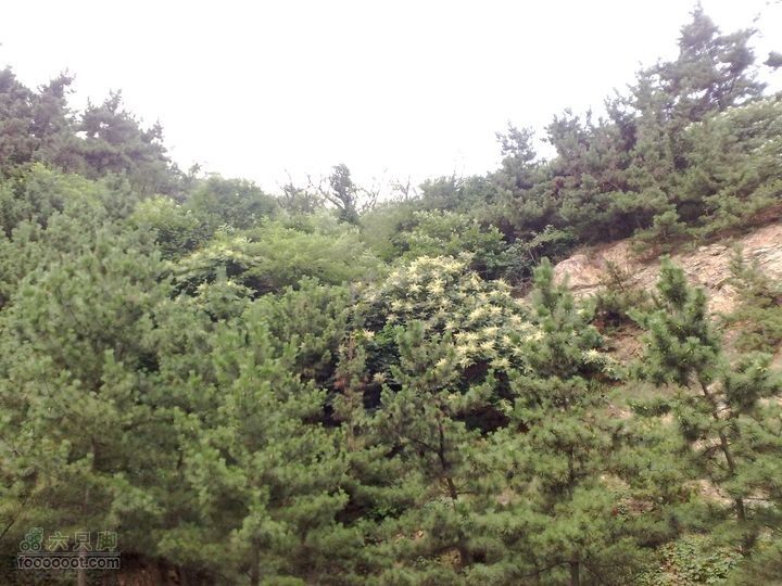 大连滨海西路-森林动物园观光20100821216