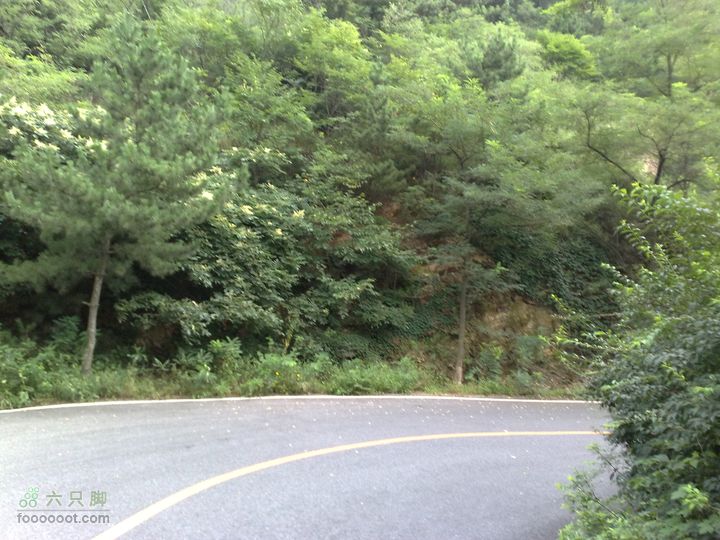 大连滨海西路-森林动物园观光20100821217