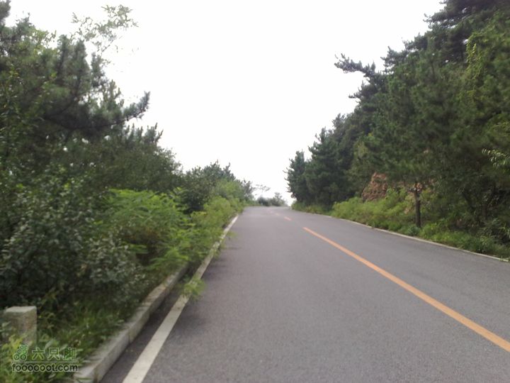 大连滨海西路-森林动物园观光20100821219