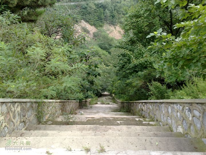 大连滨海西路-森林动物园观光20100821220