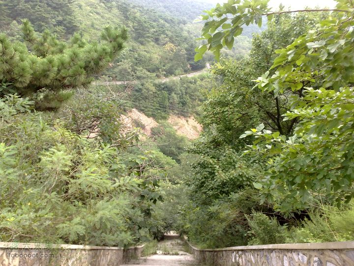 大连滨海西路-森林动物园观光20100821221