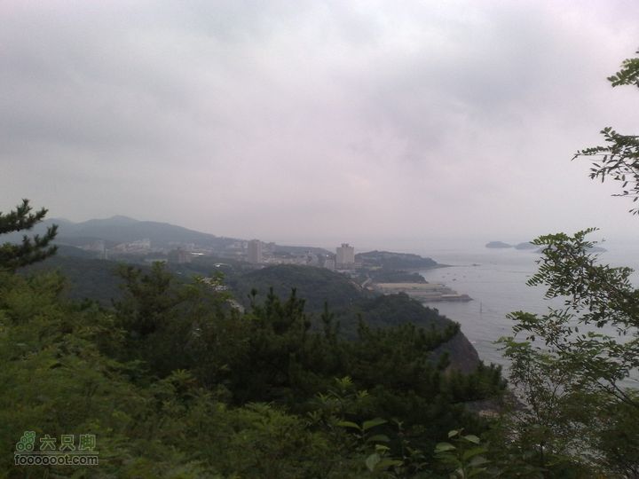 大连滨海西路-森林动物园观光20100821222