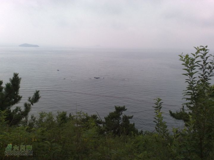 大连滨海西路-森林动物园观光20100821224