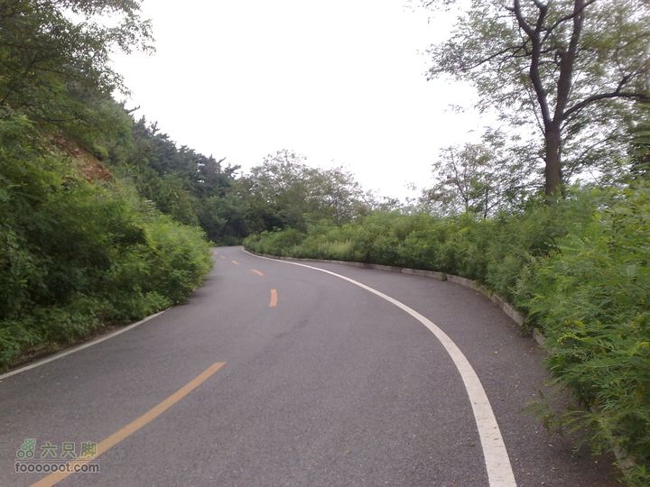 大连滨海西路-森林动物园观光20100821230