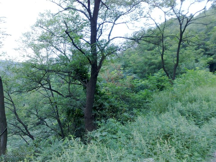 大连滨海西路-森林动物园观光20100821231