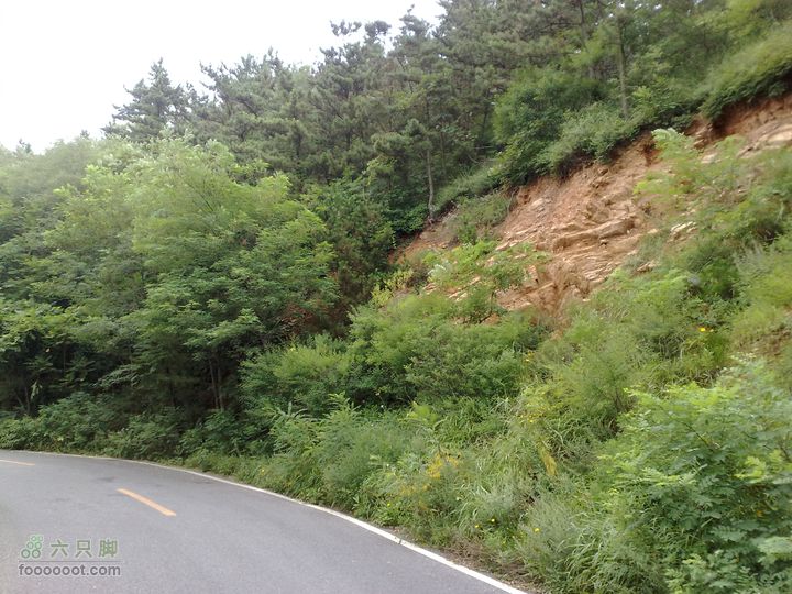 大连滨海西路-森林动物园观光20100821232