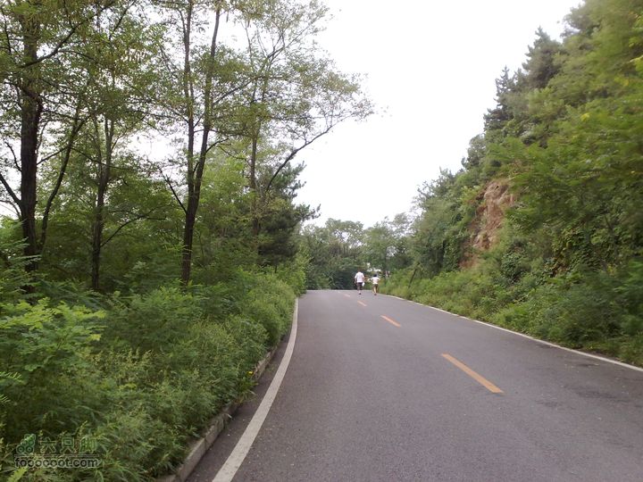 大连滨海西路-森林动物园观光20100821233