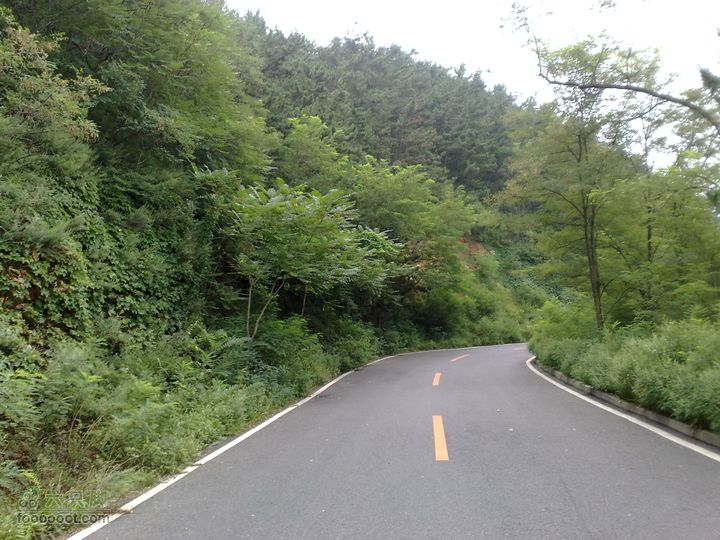 大连滨海西路-森林动物园观光20100821234