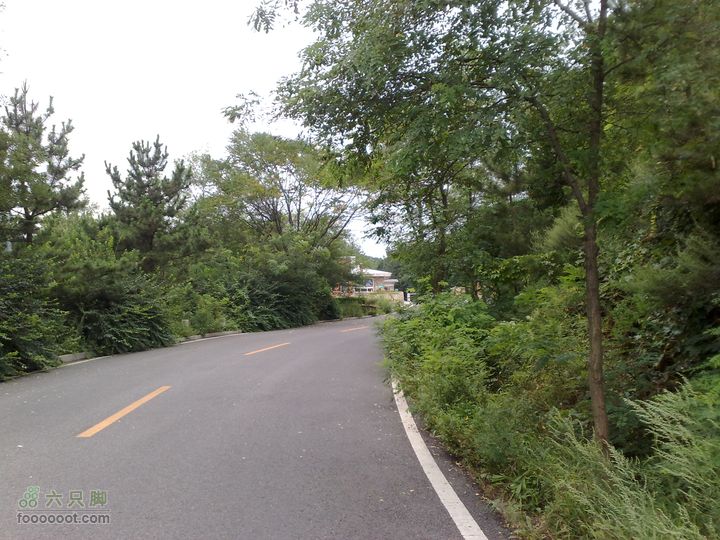 大连滨海西路-森林动物园观光20100821236