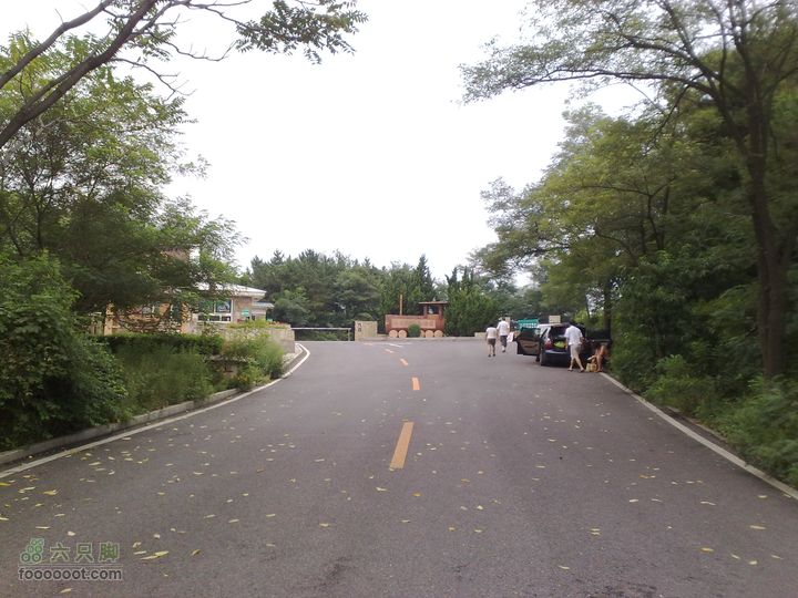 大连滨海西路-森林动物园观光20100821237