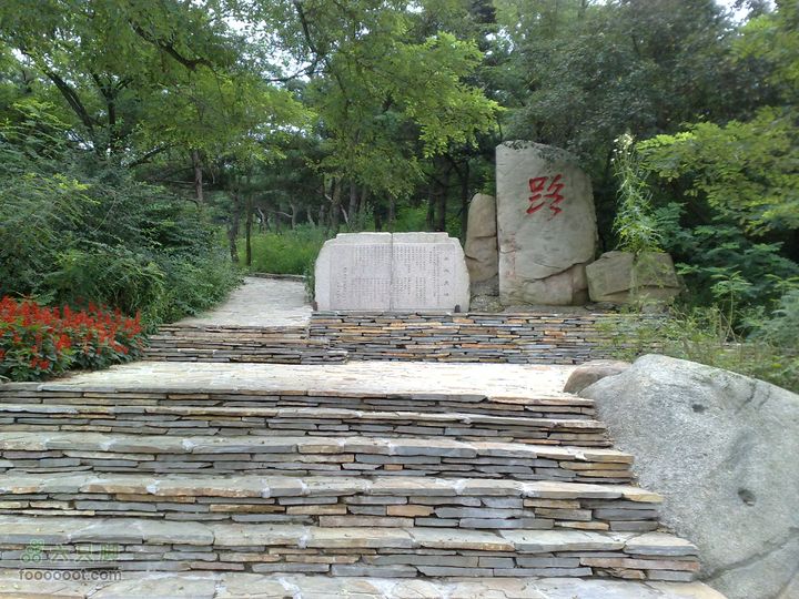 大连滨海西路-森林动物园观光20100821239