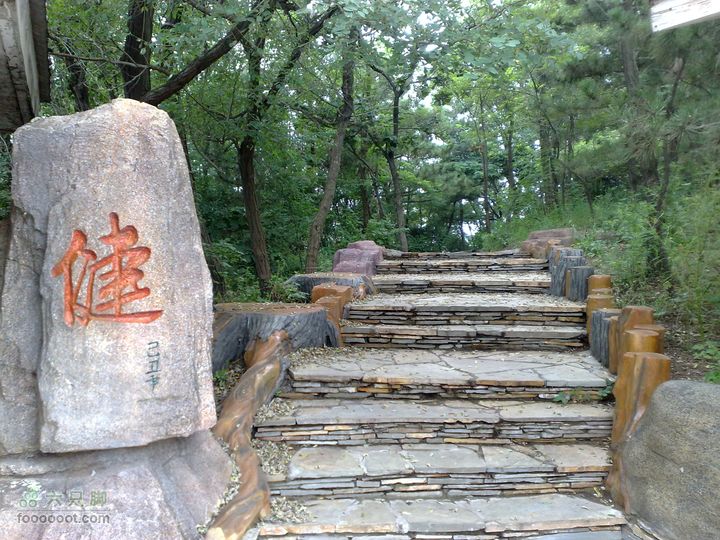 大连滨海西路-森林动物园观光20100821242