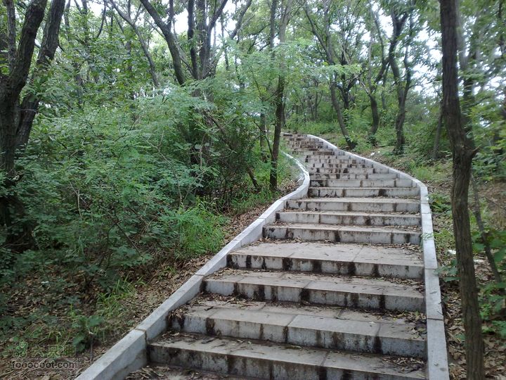 大连滨海西路-森林动物园观光20100821243