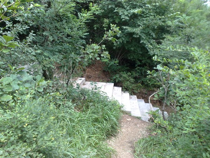 大连滨海西路-森林动物园观光20100821245
