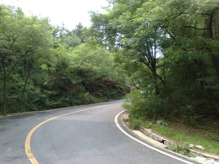 大连滨海西路-森林动物园观光20100821248
