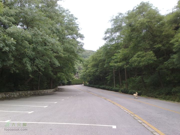 大连滨海西路-森林动物园观光20100821250