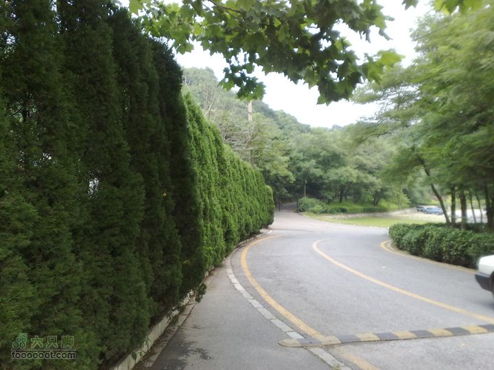 大连滨海西路-森林动物园观光20100821252