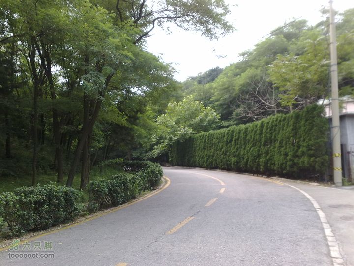 大连滨海西路-森林动物园观光20100821254