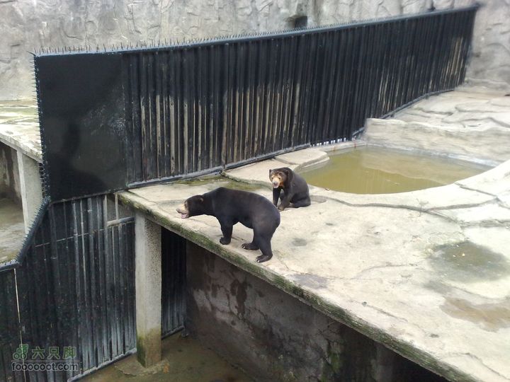 大连滨海西路-森林动物园观光20100821262