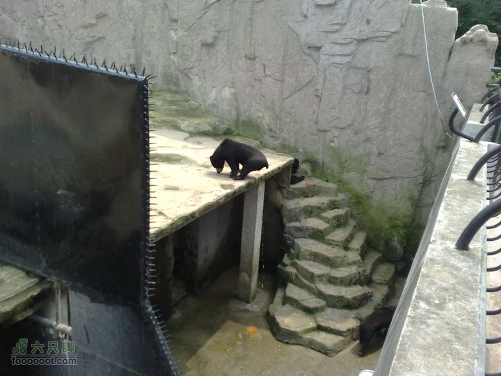 大连滨海西路-森林动物园观光20100821265