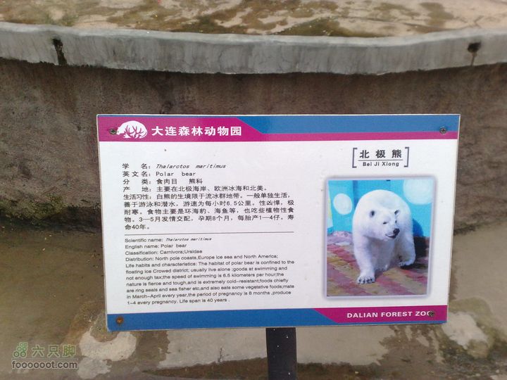大连滨海西路-森林动物园观光20100821266