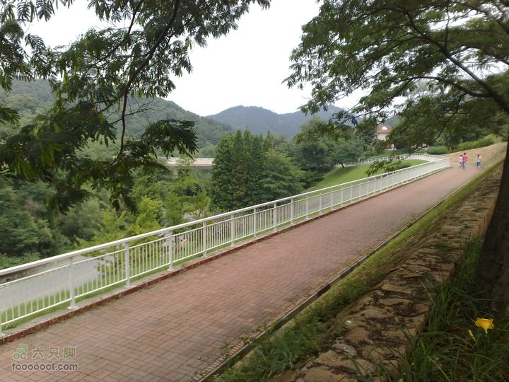 大连滨海西路-森林动物园观光20100821270