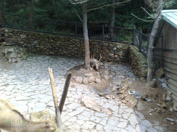 大连滨海西路-森林动物园观光20100821276