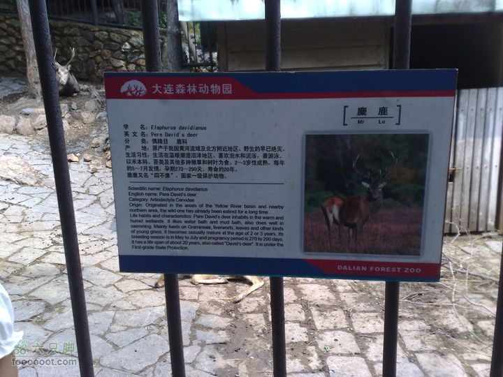 大连滨海西路-森林动物园观光20100821278