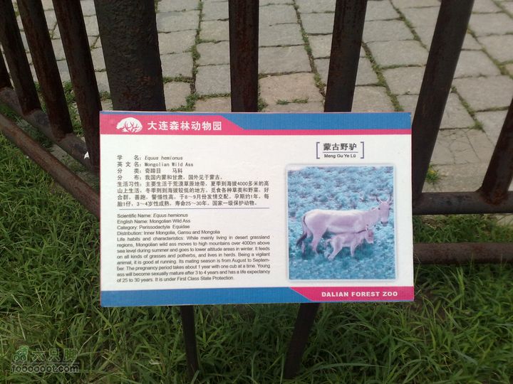 大连滨海西路-森林动物园观光20100821280